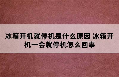 冰箱开机就停机是什么原因 冰箱开机一会就停机怎么回事